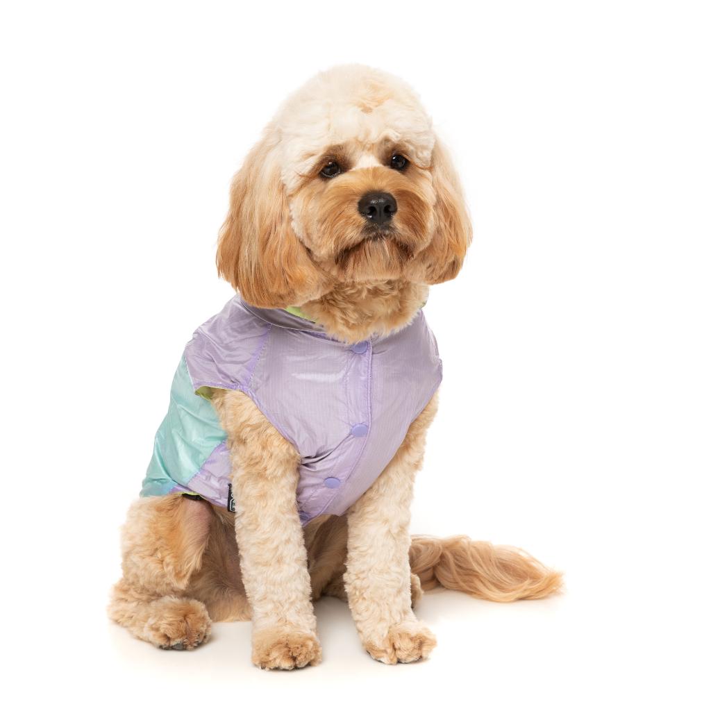 Raincoat Ormond Purple/Blue