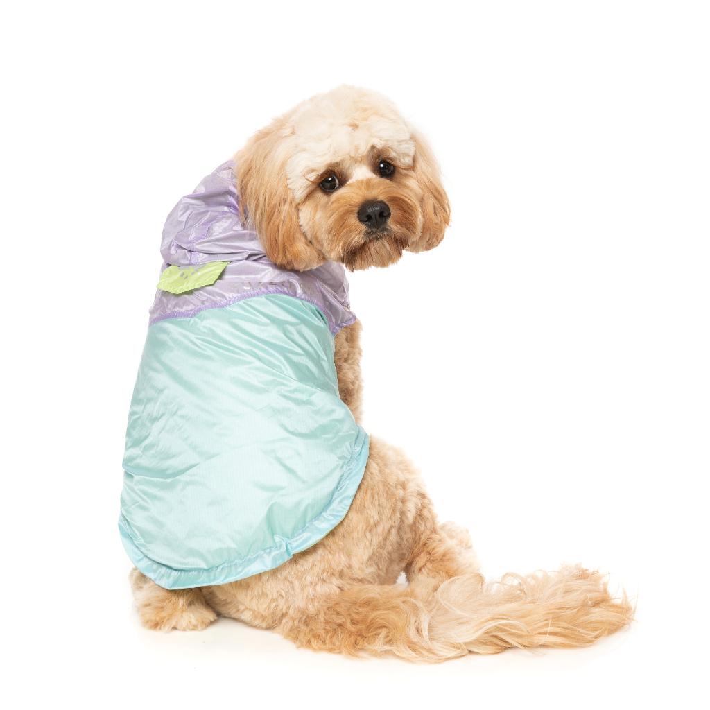Raincoat Ormond Purple/Blue
