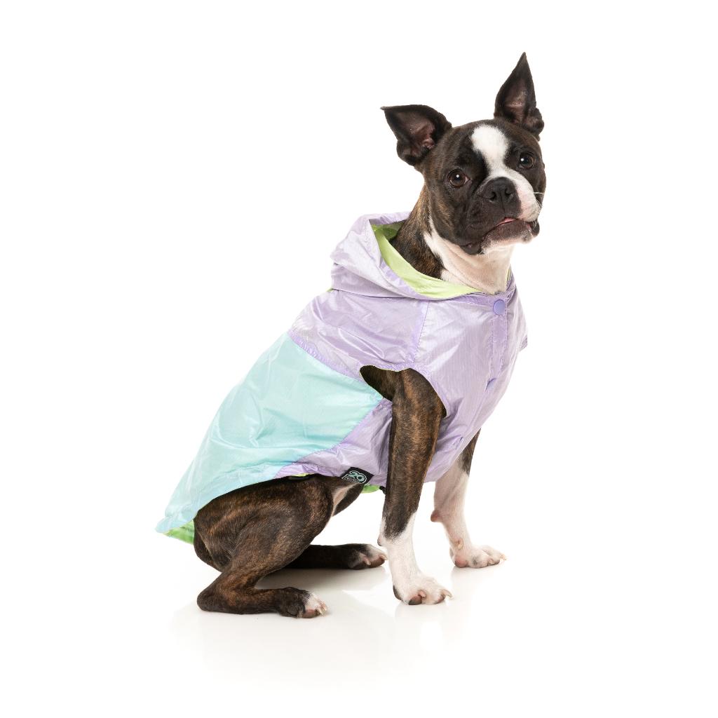 Raincoat Ormond Purple/Blue