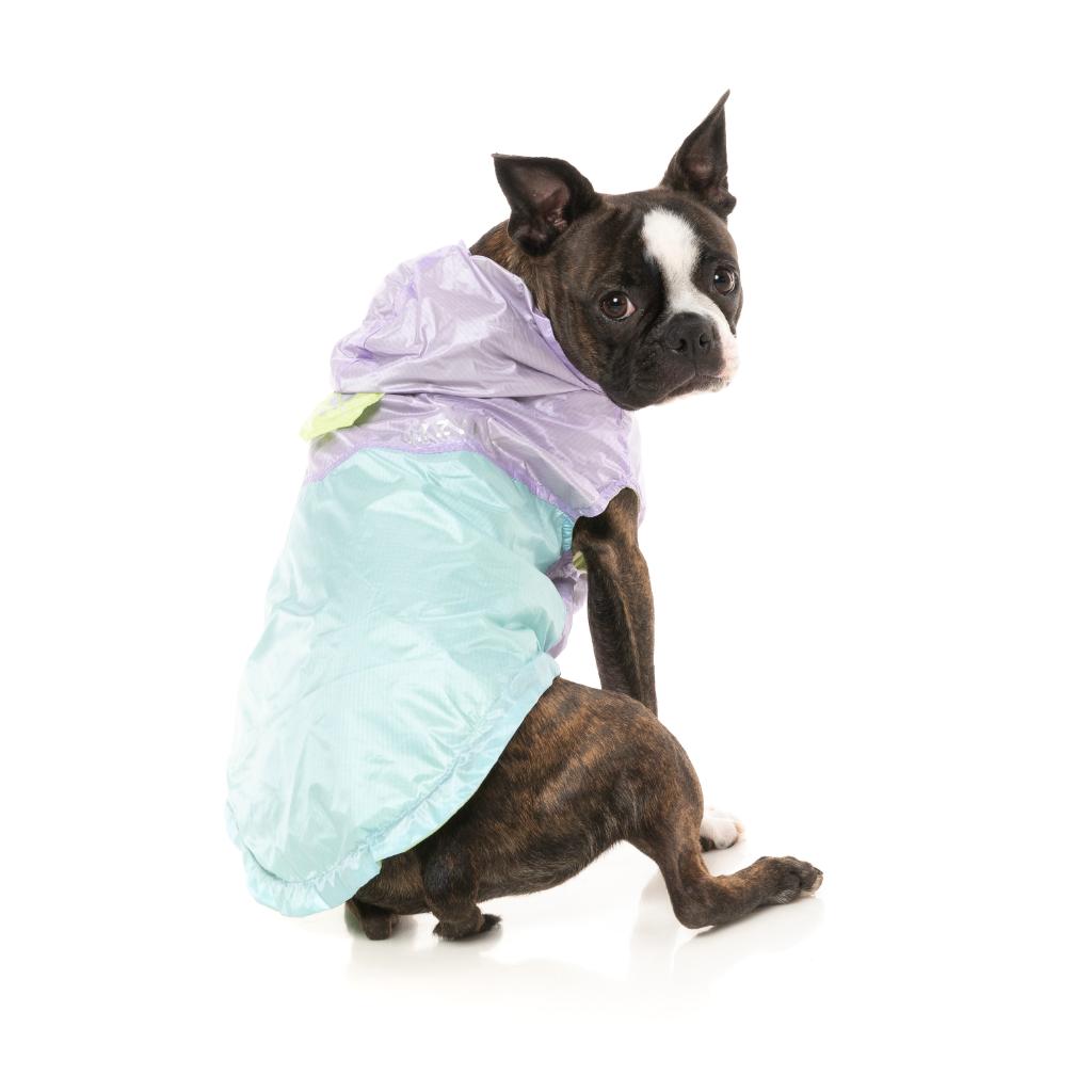 Raincoat Ormond Purple/Blue