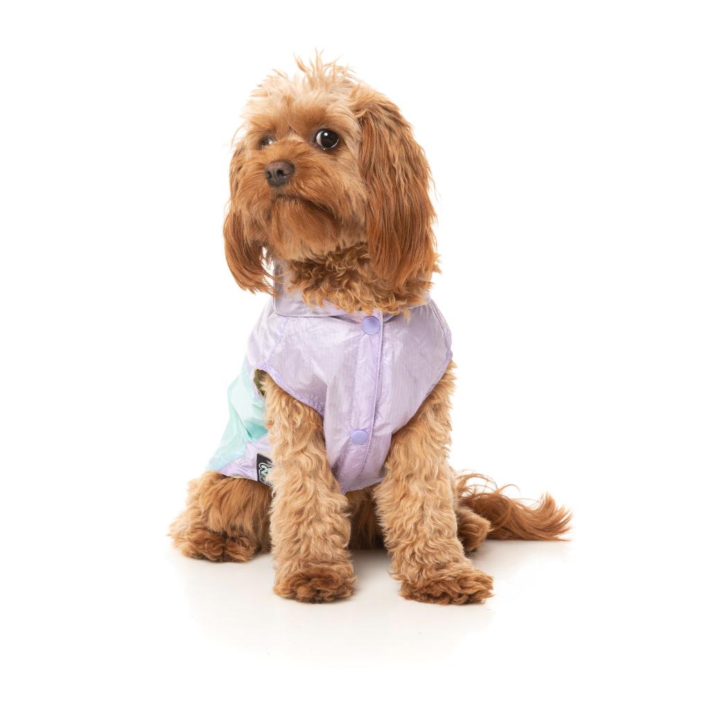 Raincoat Ormond Purple/Blue