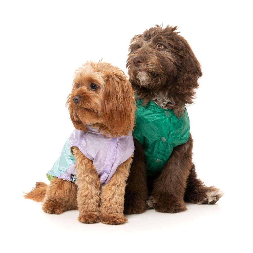 Raincoat Ormond Purple/Blue