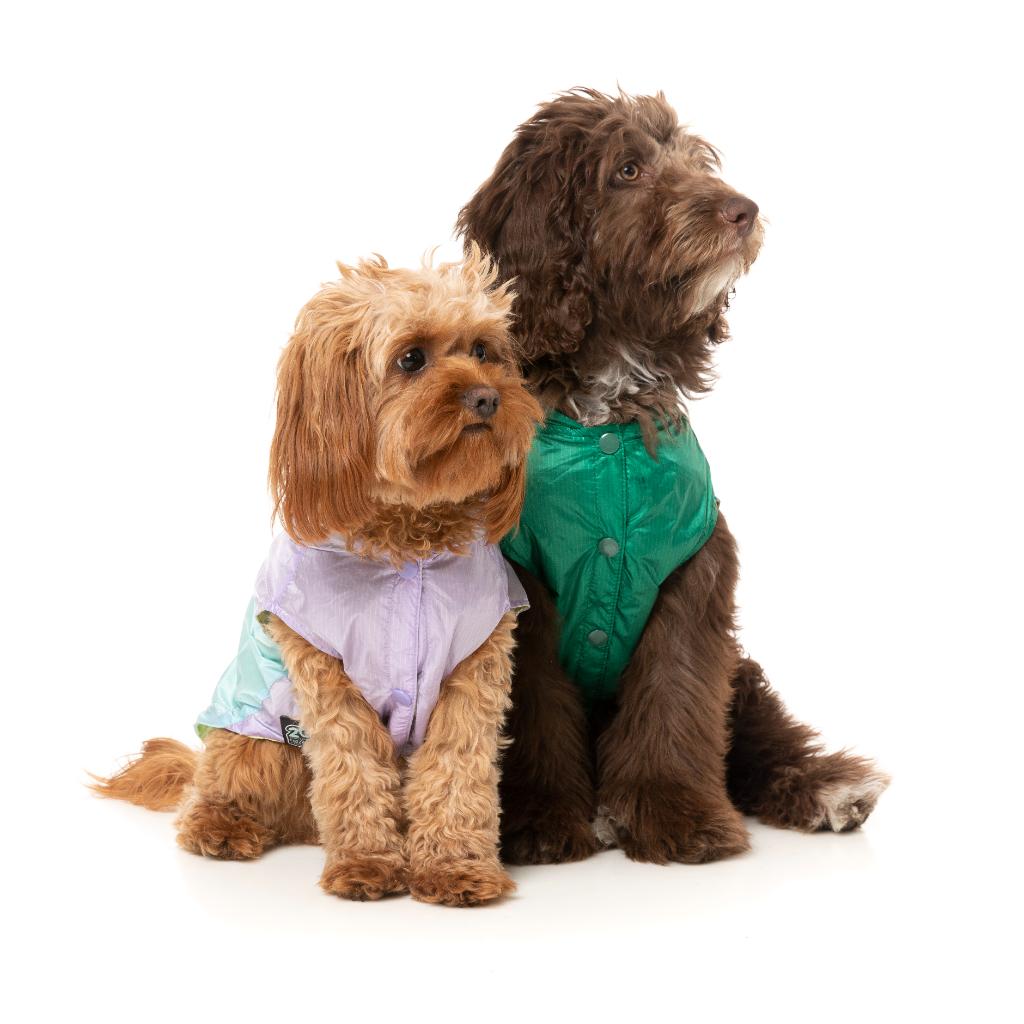 Raincoat Ormond Purple/Blue