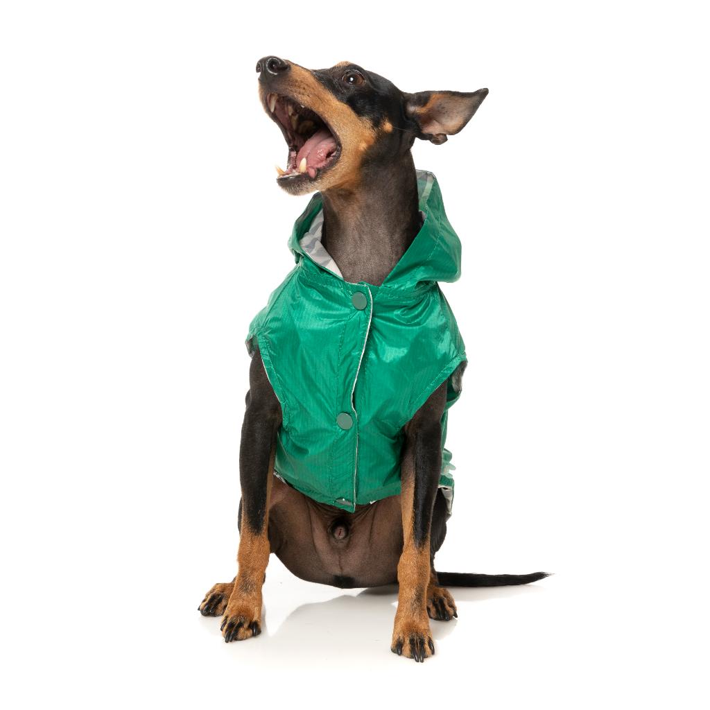 Raincoat Flipside Green/Beige
