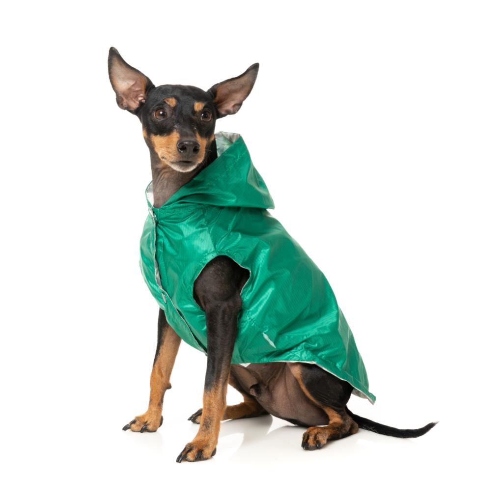 Raincoat Flipside Green/Beige