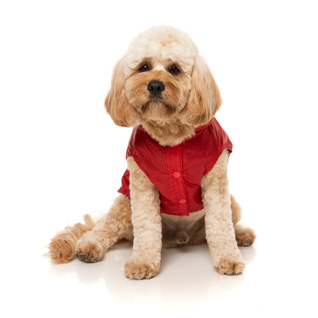 Raincoat Flipside Red/Black/White