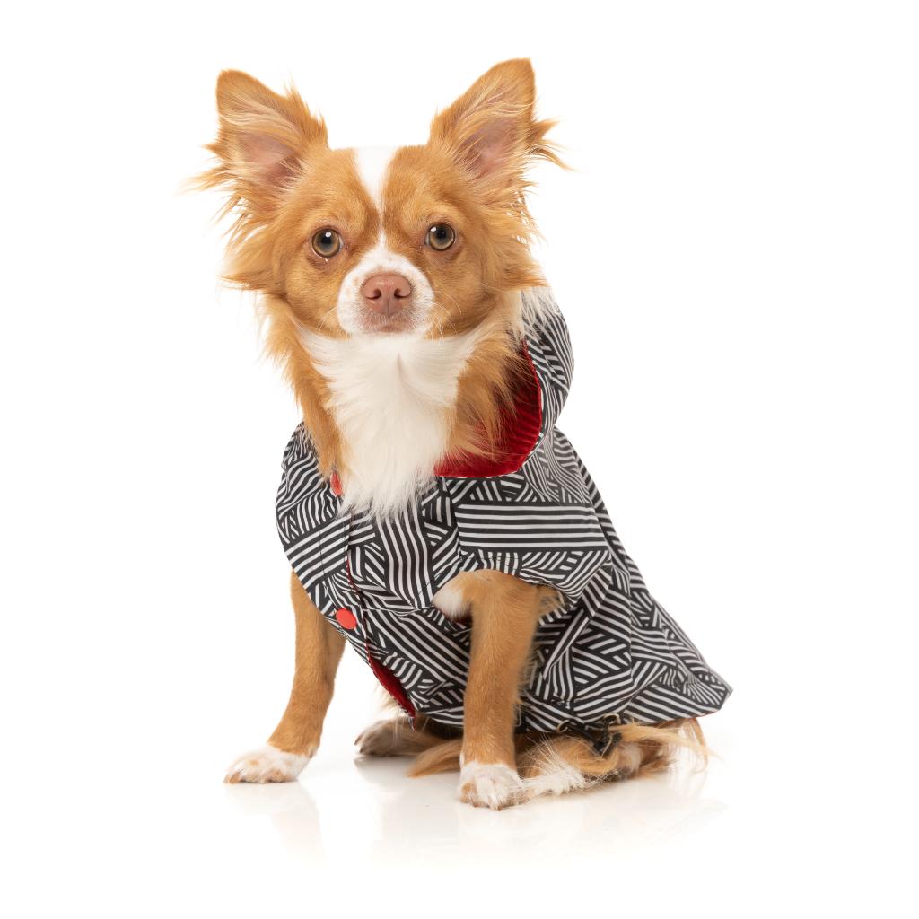 Raincoat Flipside Red/Black/White