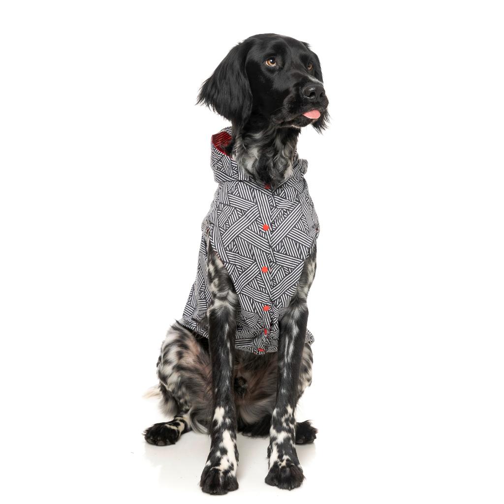 Raincoat Flipside Red/Black/White