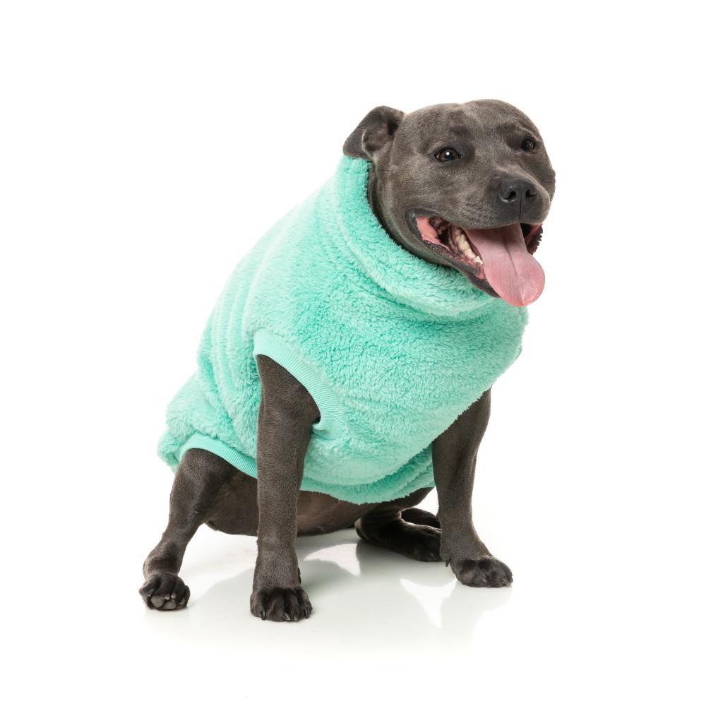 Turtle Teddy Teal