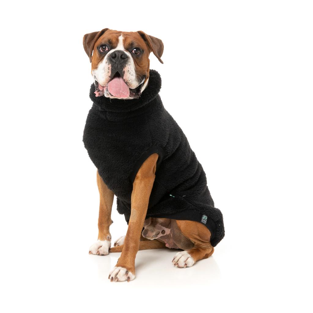 Turtle Teddy Black