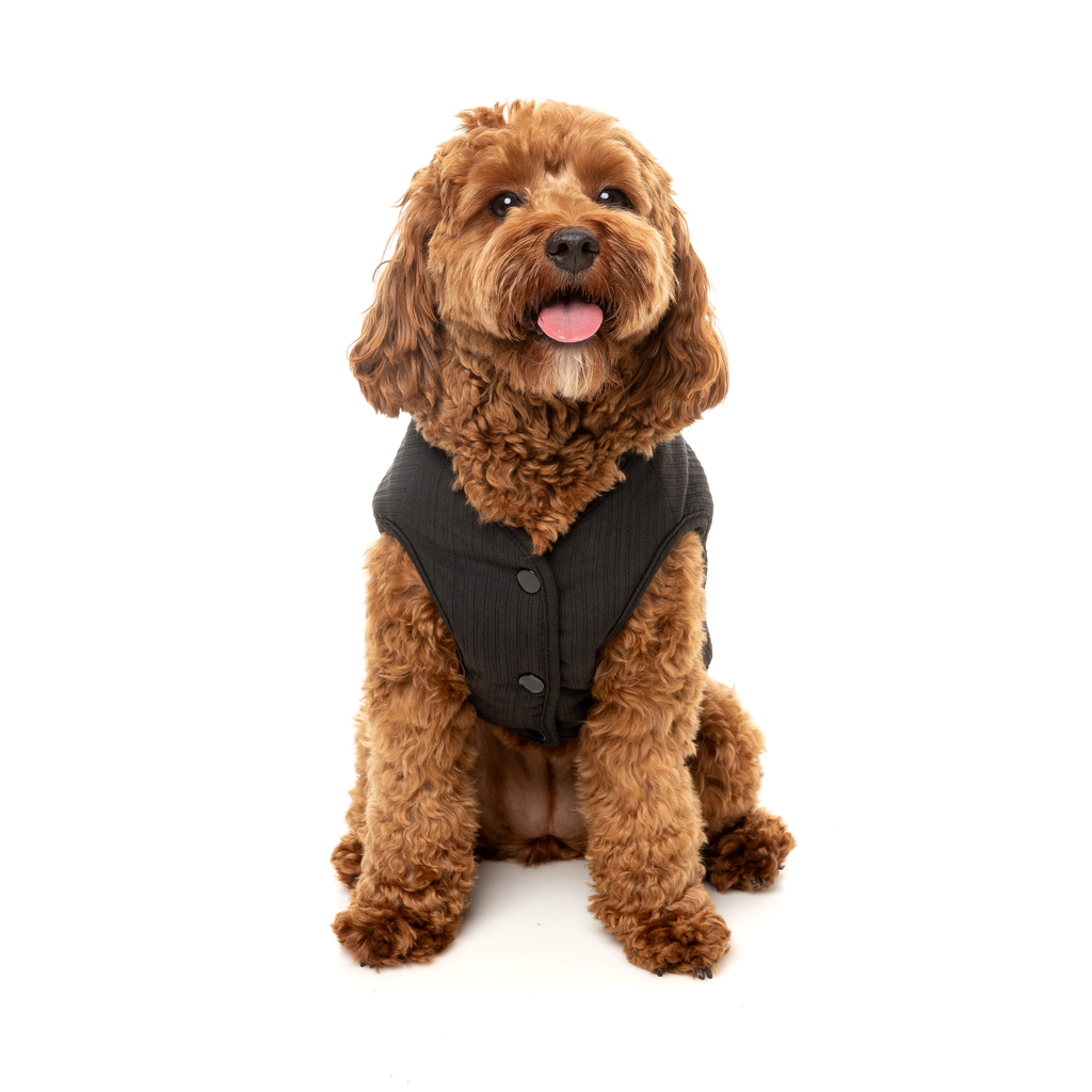 Umeda Jacket - Black