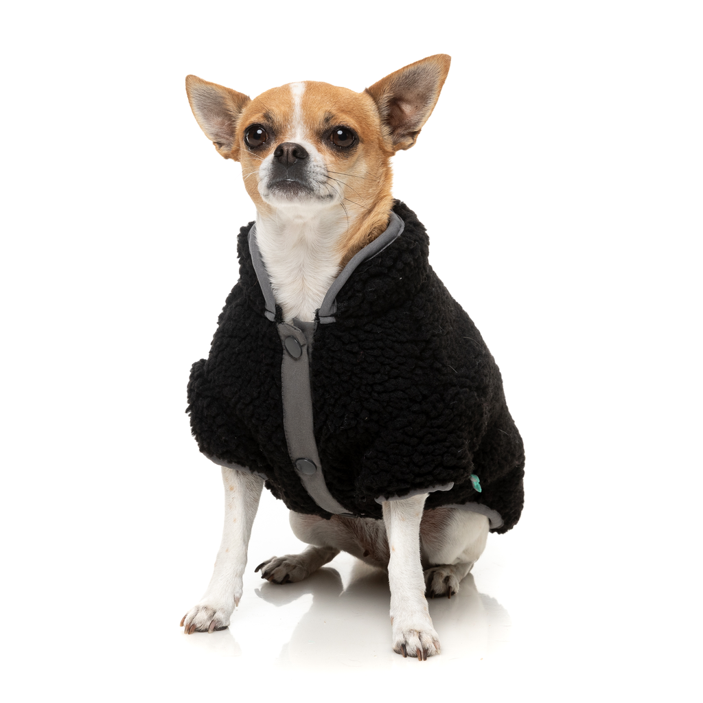 Basecamp Jacket - Black