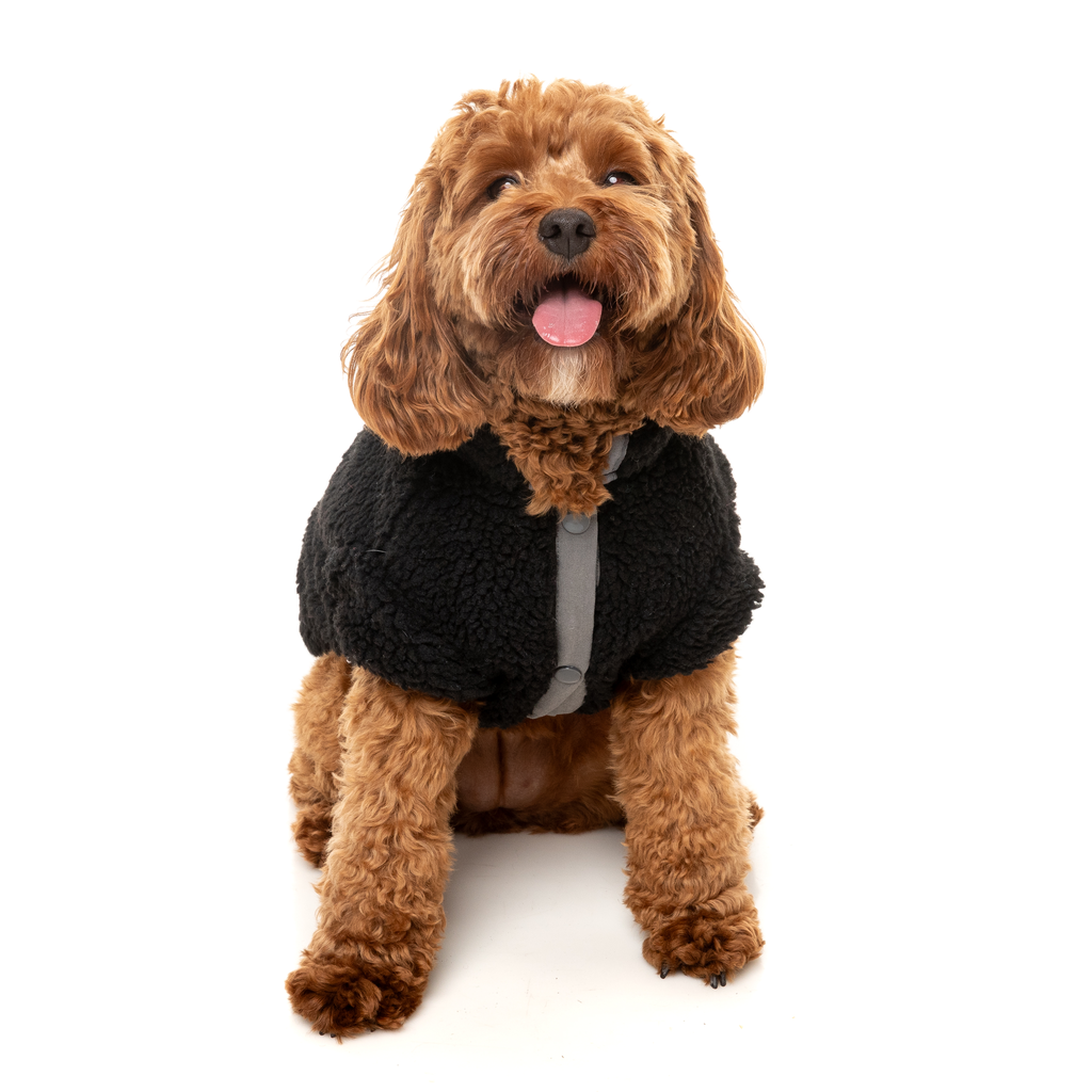 Basecamp Jacket - Black