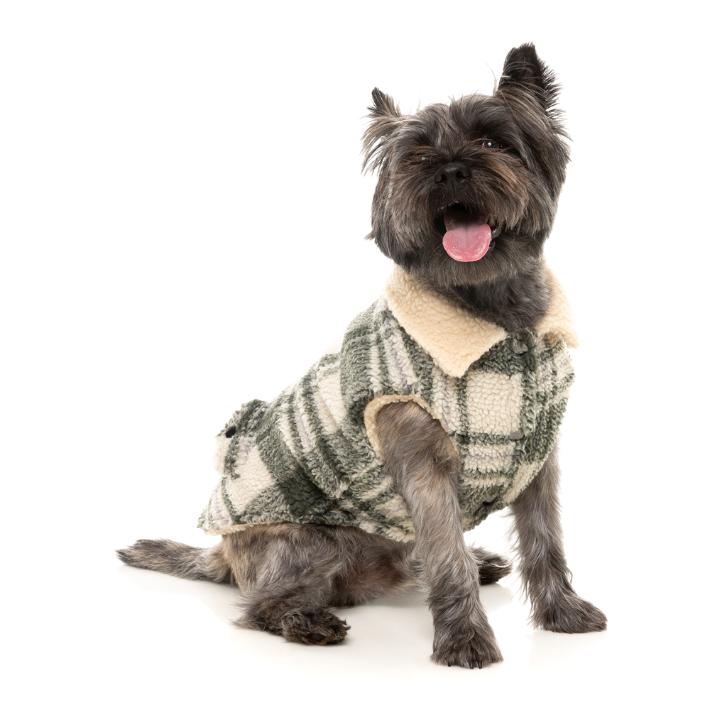 The Lumberjack - Money Green/Cream