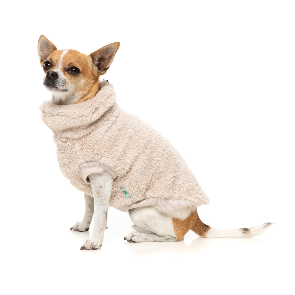 Turtle Teddy Sweater - Beige