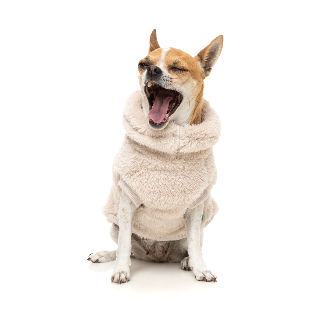 Turtle Teddy Sweater - Beige