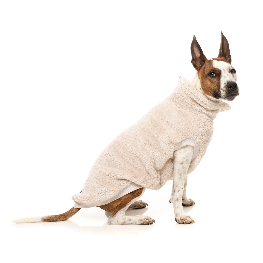 Turtle Teddy Sweater - Beige