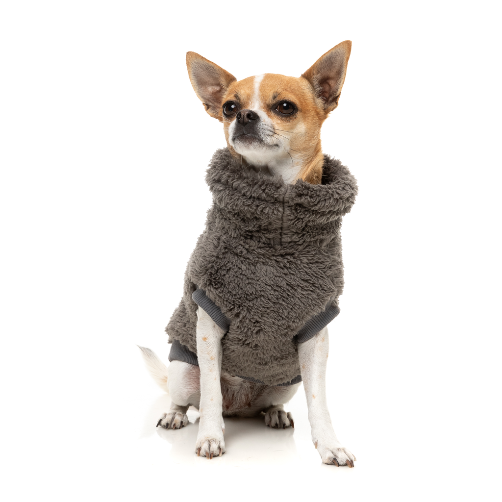 Turtle Teddy Sweater - Gunmetal Grey