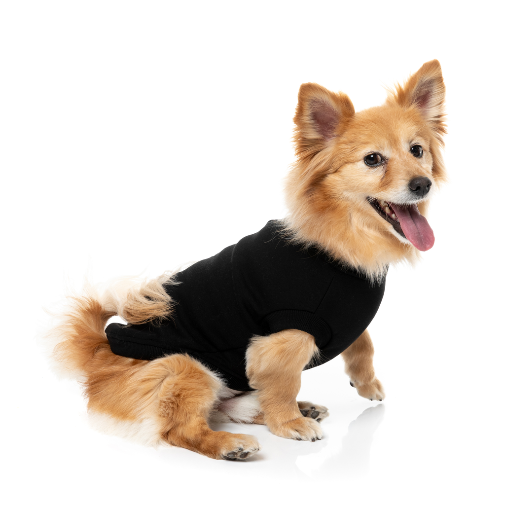 Allday Sweater - Black