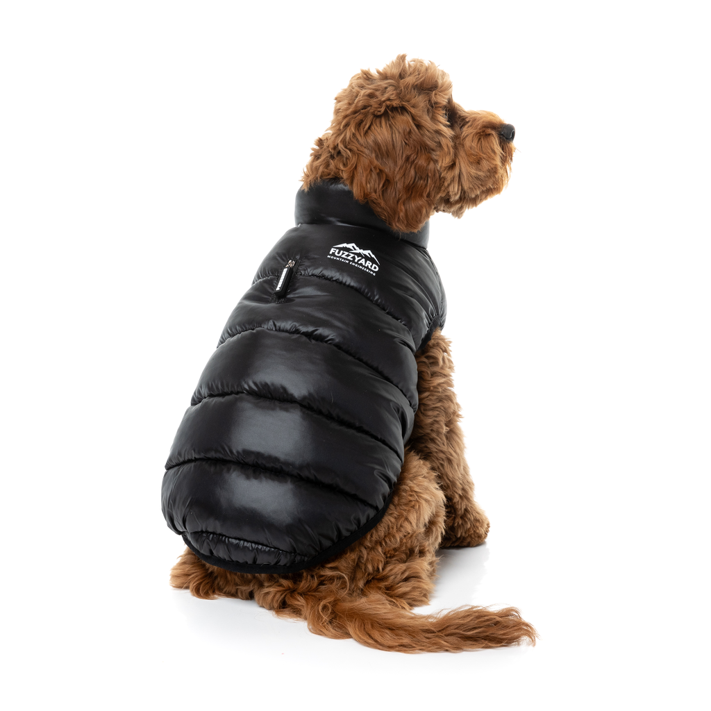 East Harlem Puffer - Black