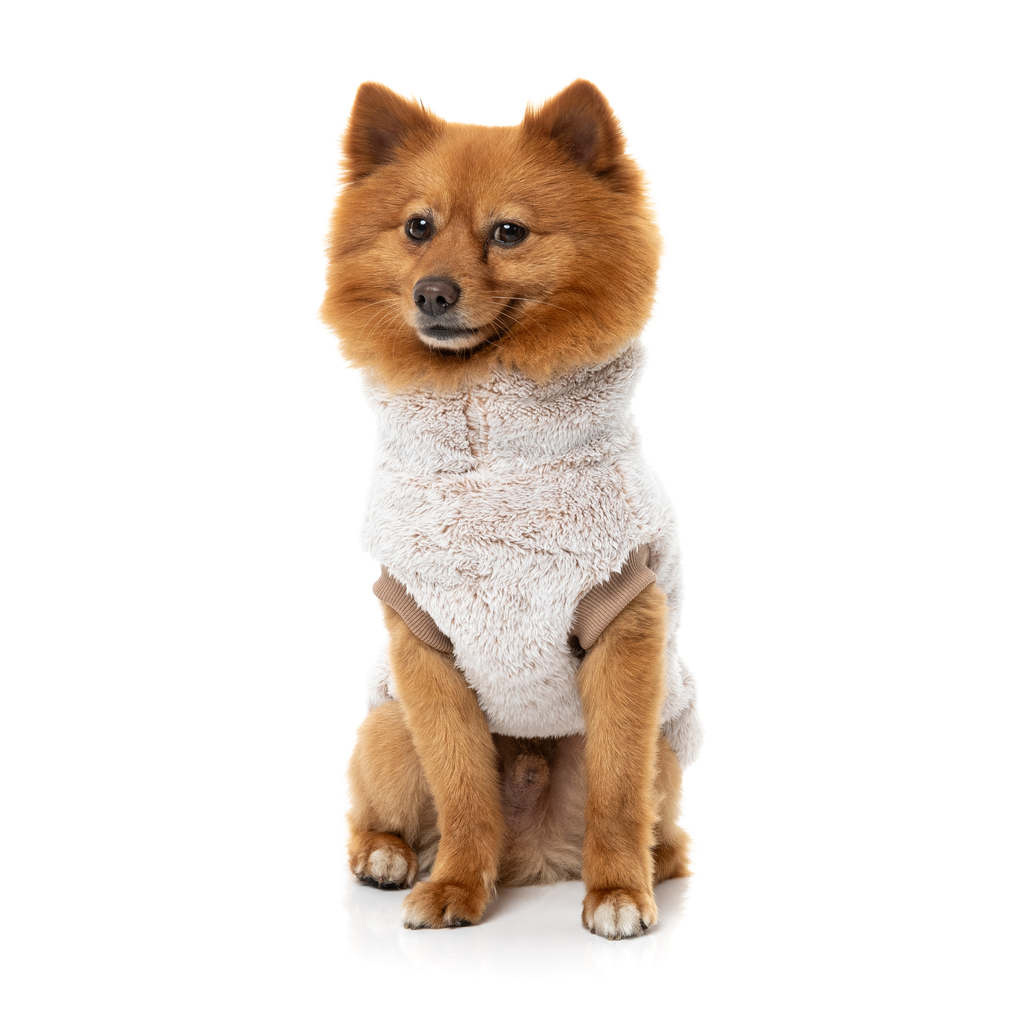 Frosted Teddy Sweater - Latte