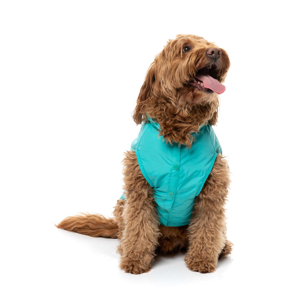 Evo Raincoat - Teal