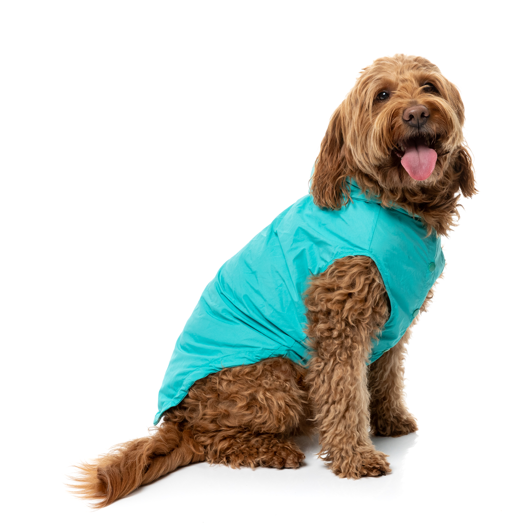 Evo Raincoat - Teal