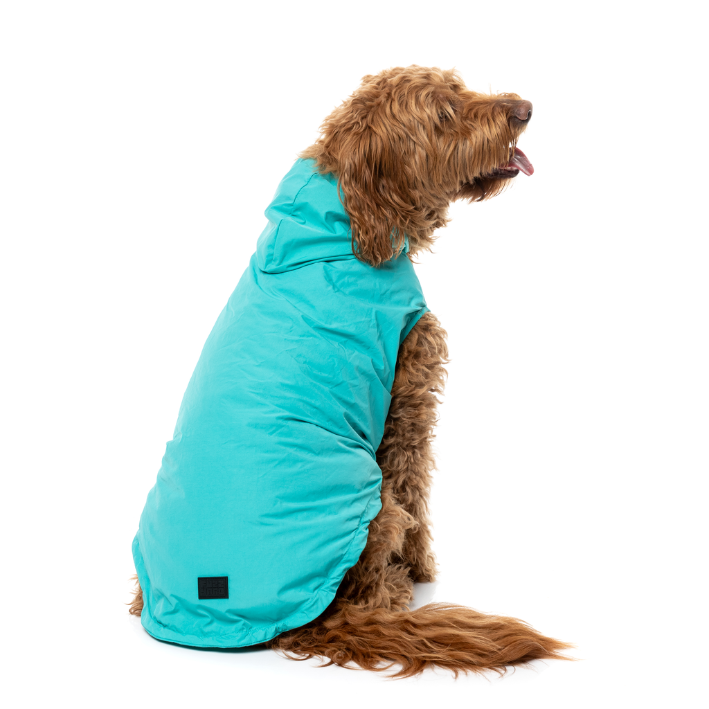 Evo Raincoat - Teal
