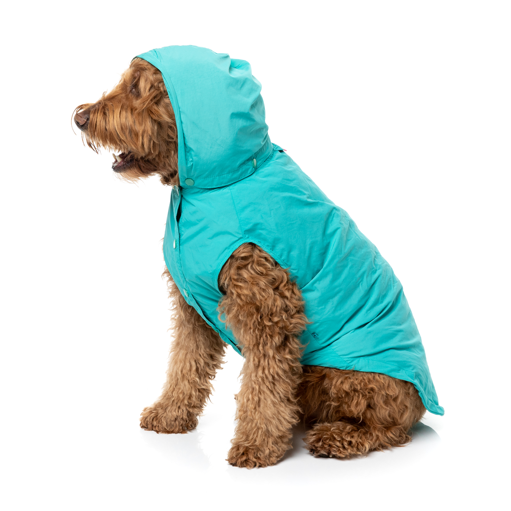 Evo Raincoat - Teal
