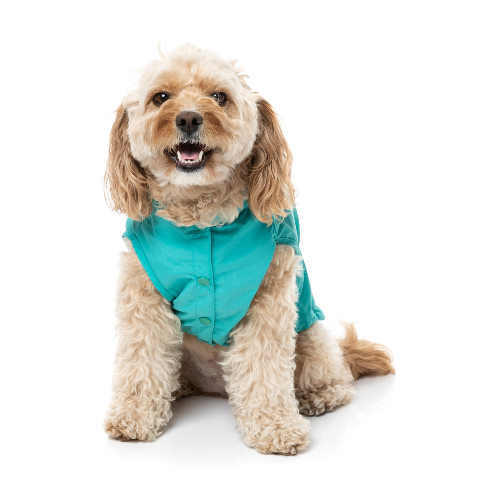 Evo Raincoat - Teal