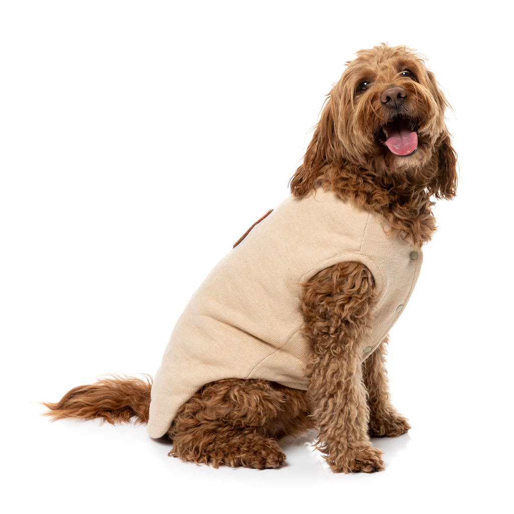 Fuzzbear Knit - Beige