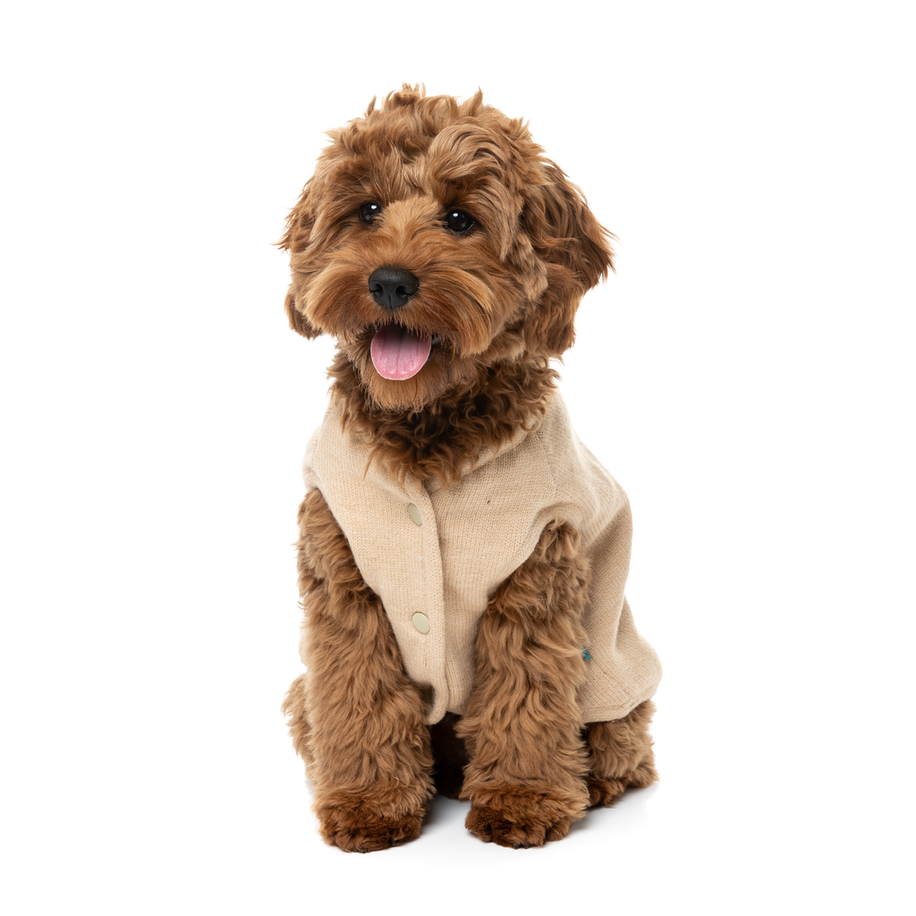 Fuzzbear Knit - Beige