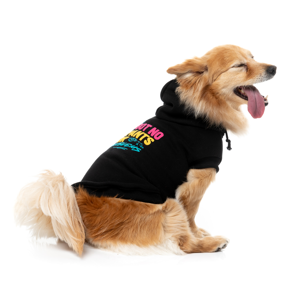 Dog Hoodie - Got No Pants