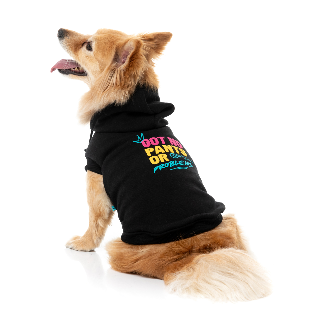 Dog Hoodie - Got No Pants