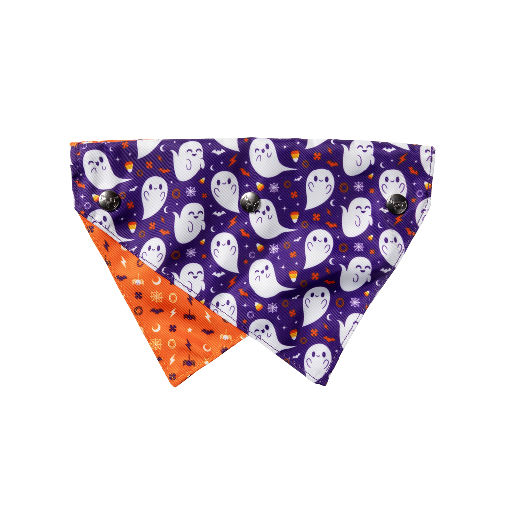 Spooky Spirits - Bandana para perros y gatos
