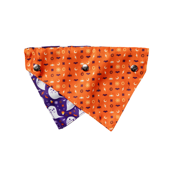 Spooky Spirits - Bandana para perros y gatos
