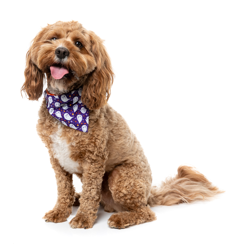 Spooky Spirits - Bandana para perros y gatos