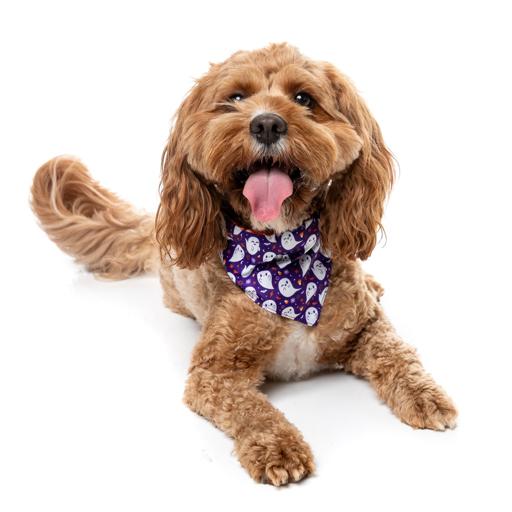 Spooky Spirits - Bandana para perros y gatos