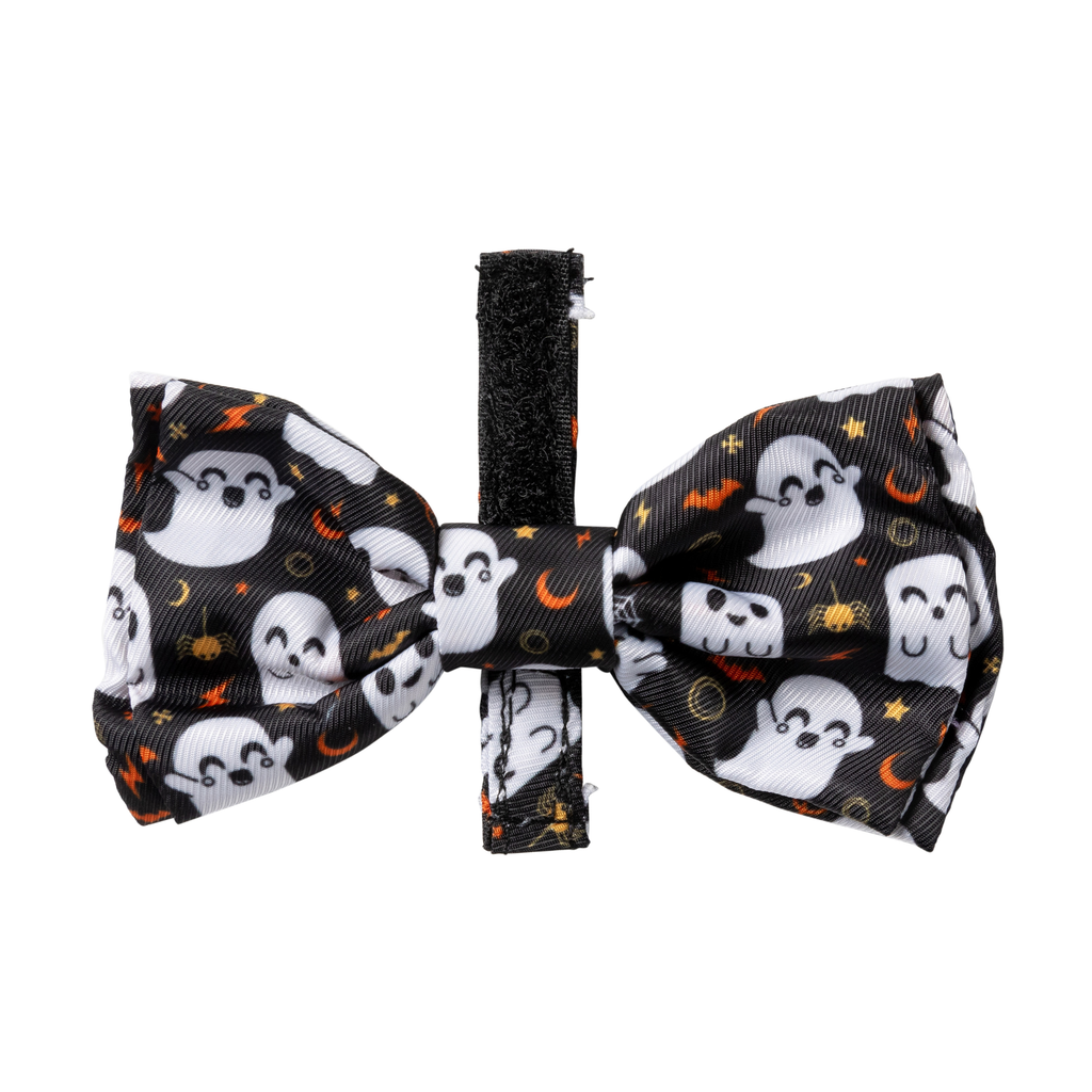 Peek-A-Boo - Pajarita para perros y gatos