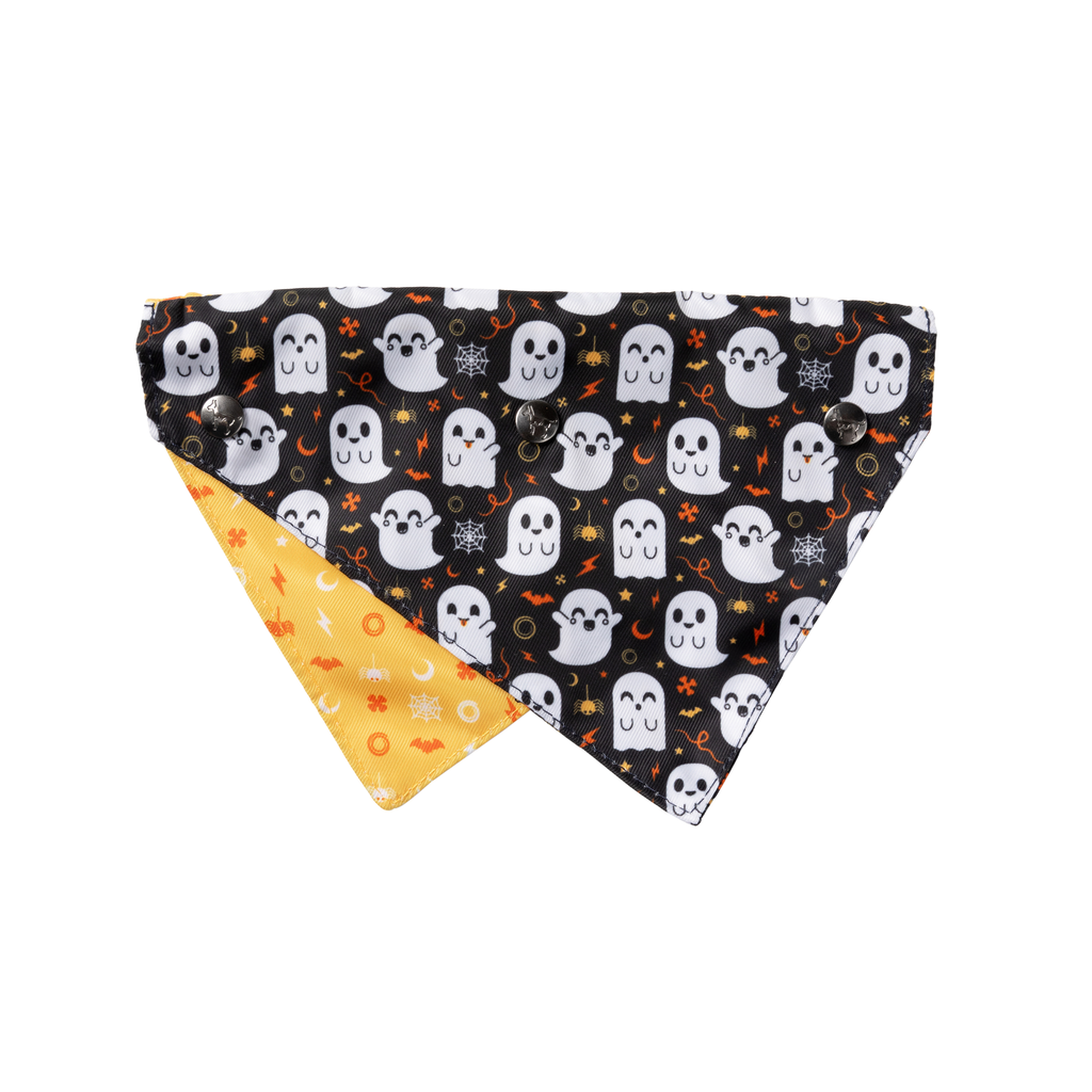 Peek-A-Boo - Bandana para perros y gatos