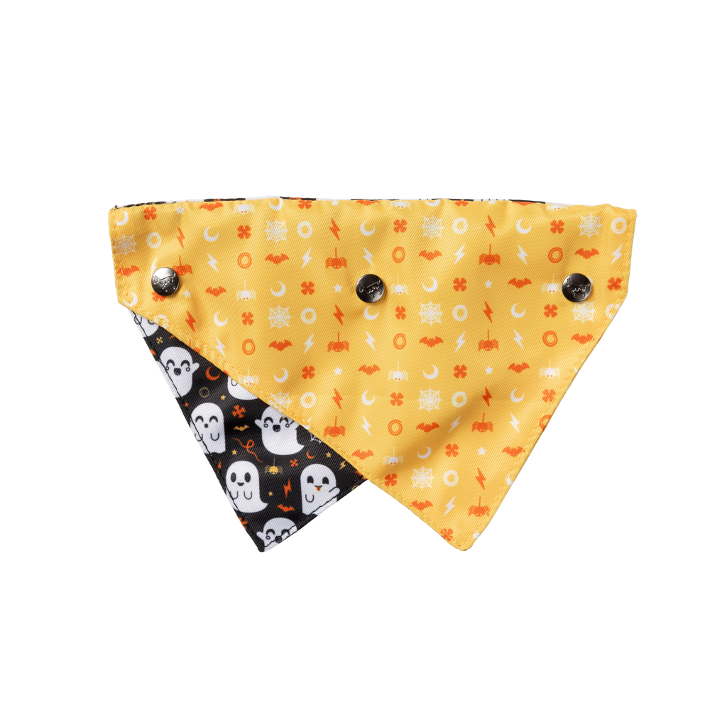 Peek-A-Boo - Bandana para perros y gatos