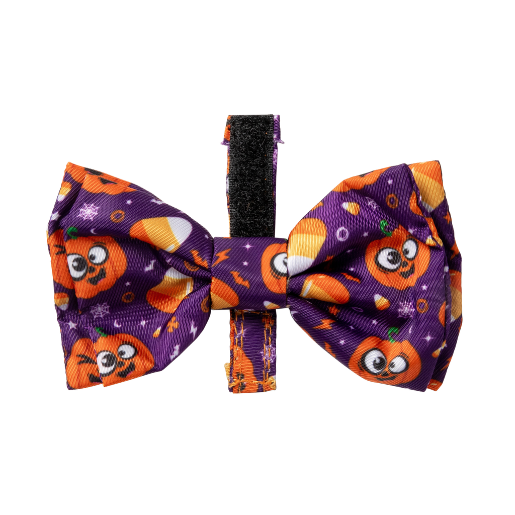 Goofy Gourds - Pajarita para perros y gatos