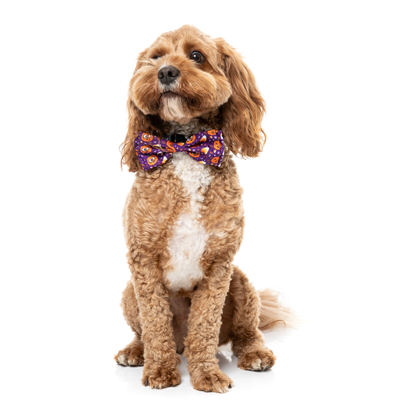 Goofy Gourds - Pajarita para perros y gatos
