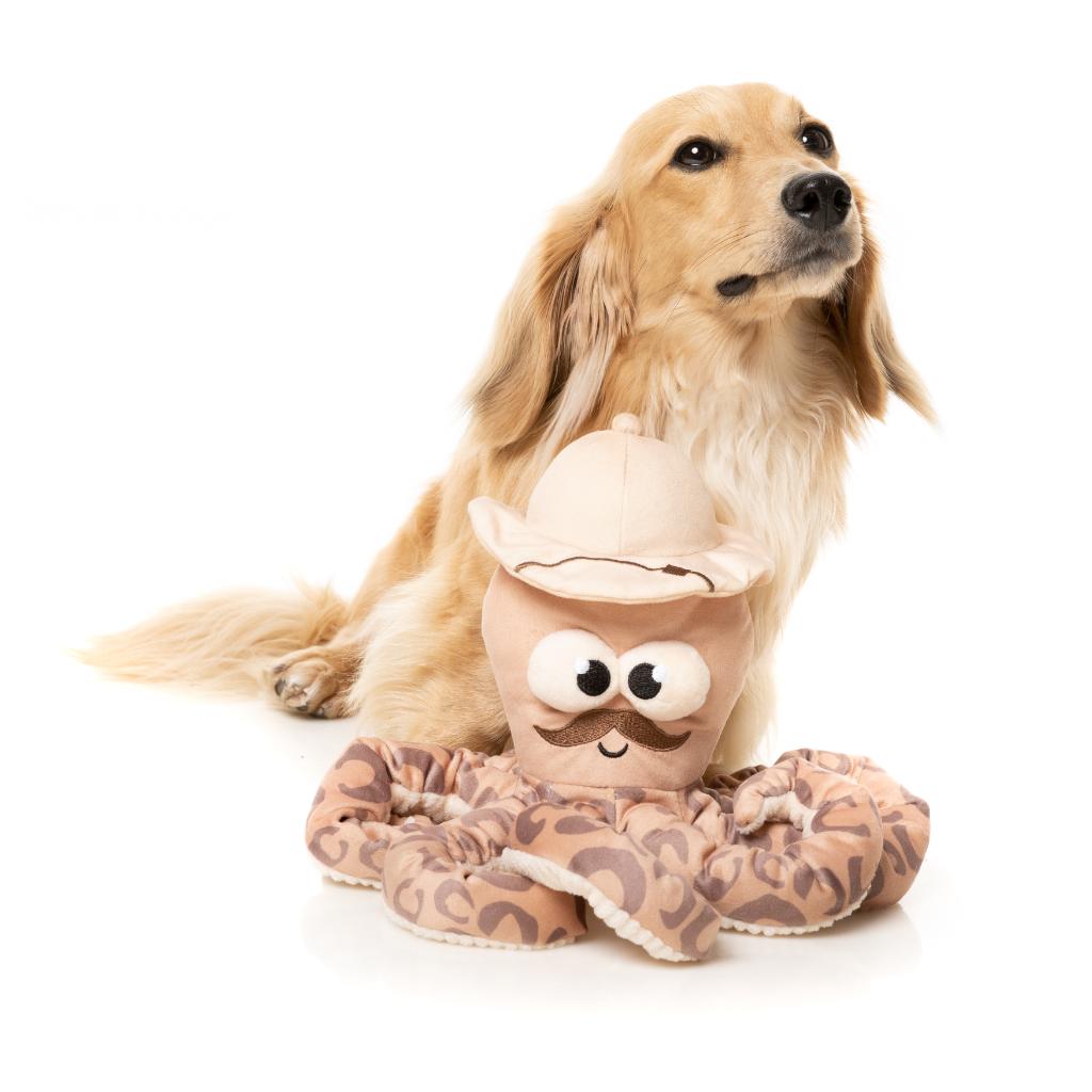 Octo Pose Dog Toy - Sir David Octoborough