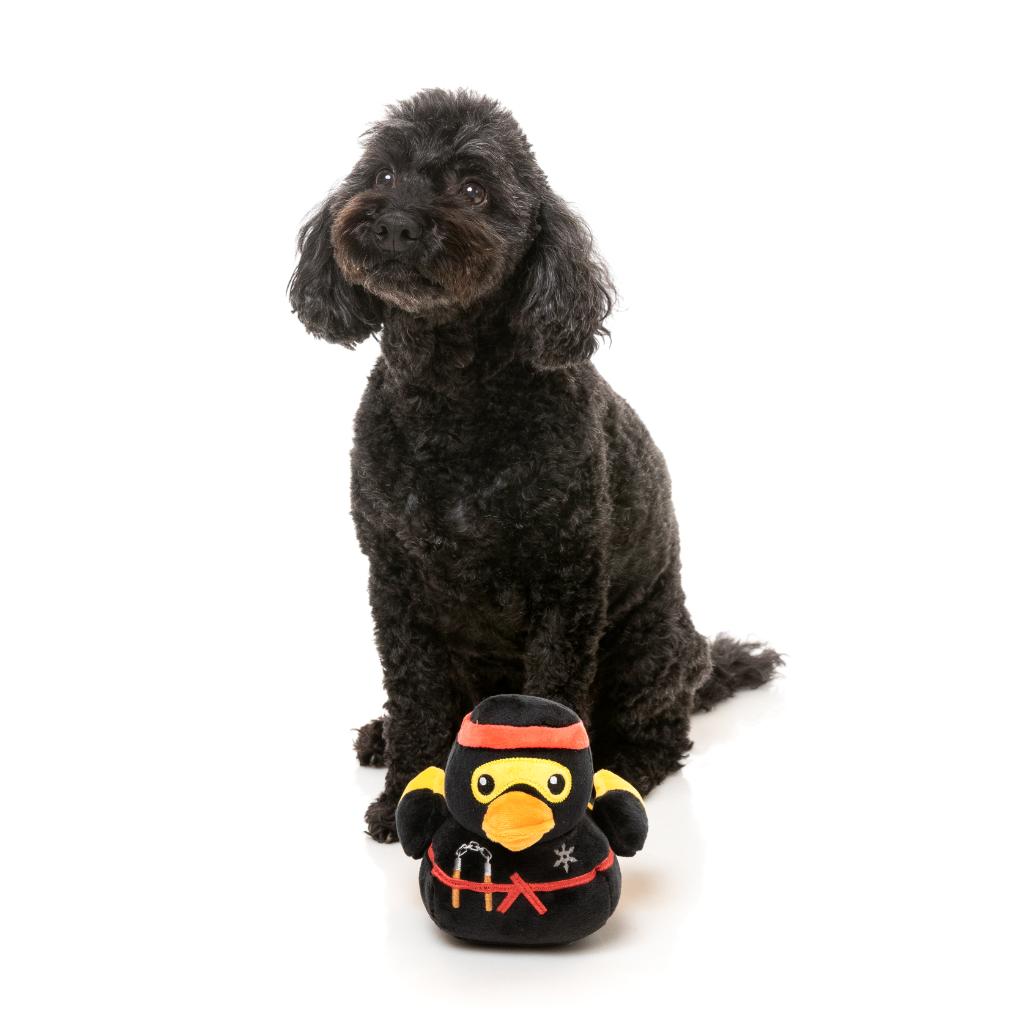 Quackson Five Dog Toy - Quackie Chan