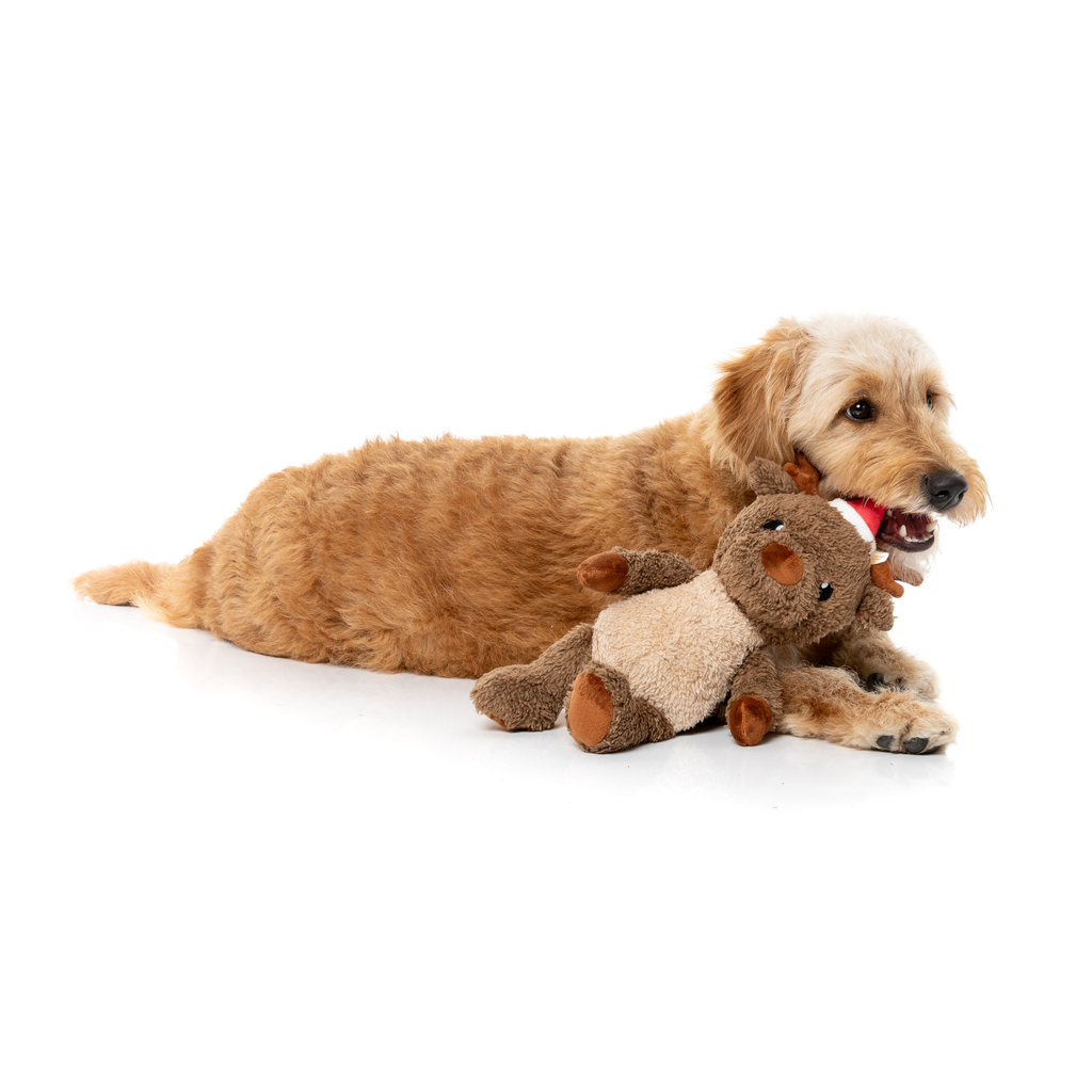 FuzzYard Juguete de Navidad - Ralph the Reindeer