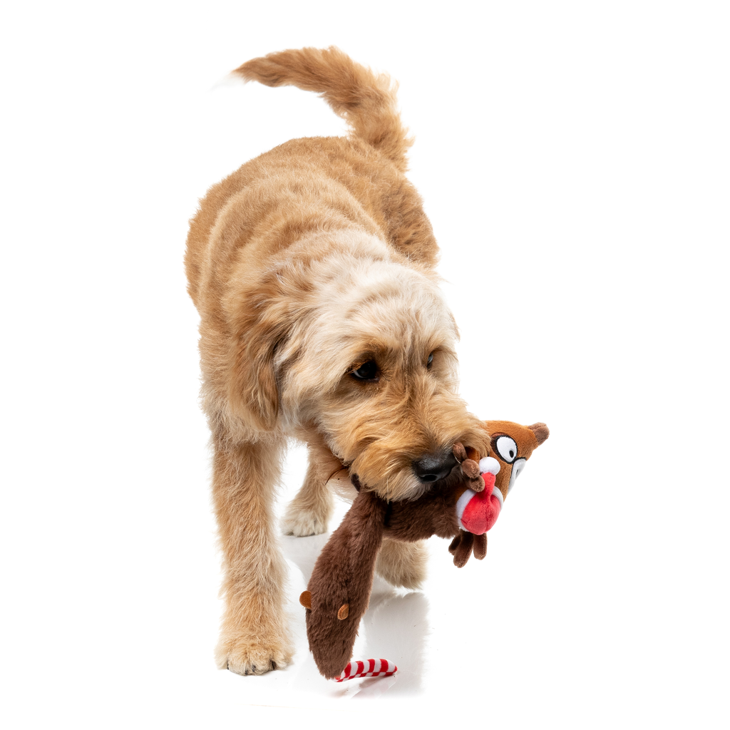 FuzzYard Juguete de Navidad - Run Away Reindeer