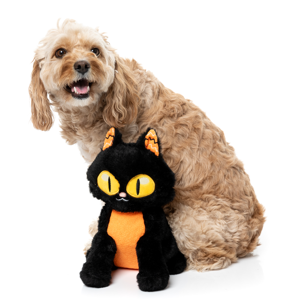PURRSEPHONE - JUGUETE PARA PERROS