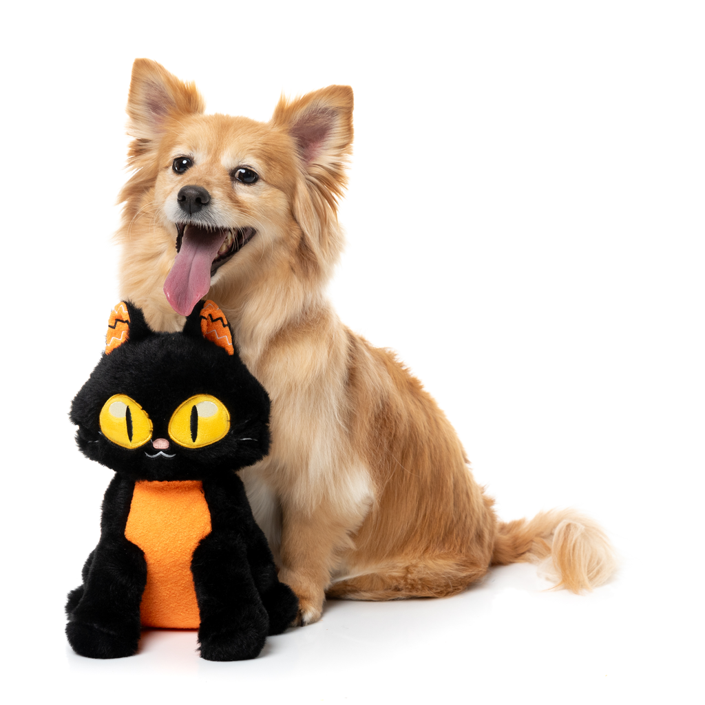 PURRSEPHONE - JUGUETE PARA PERROS