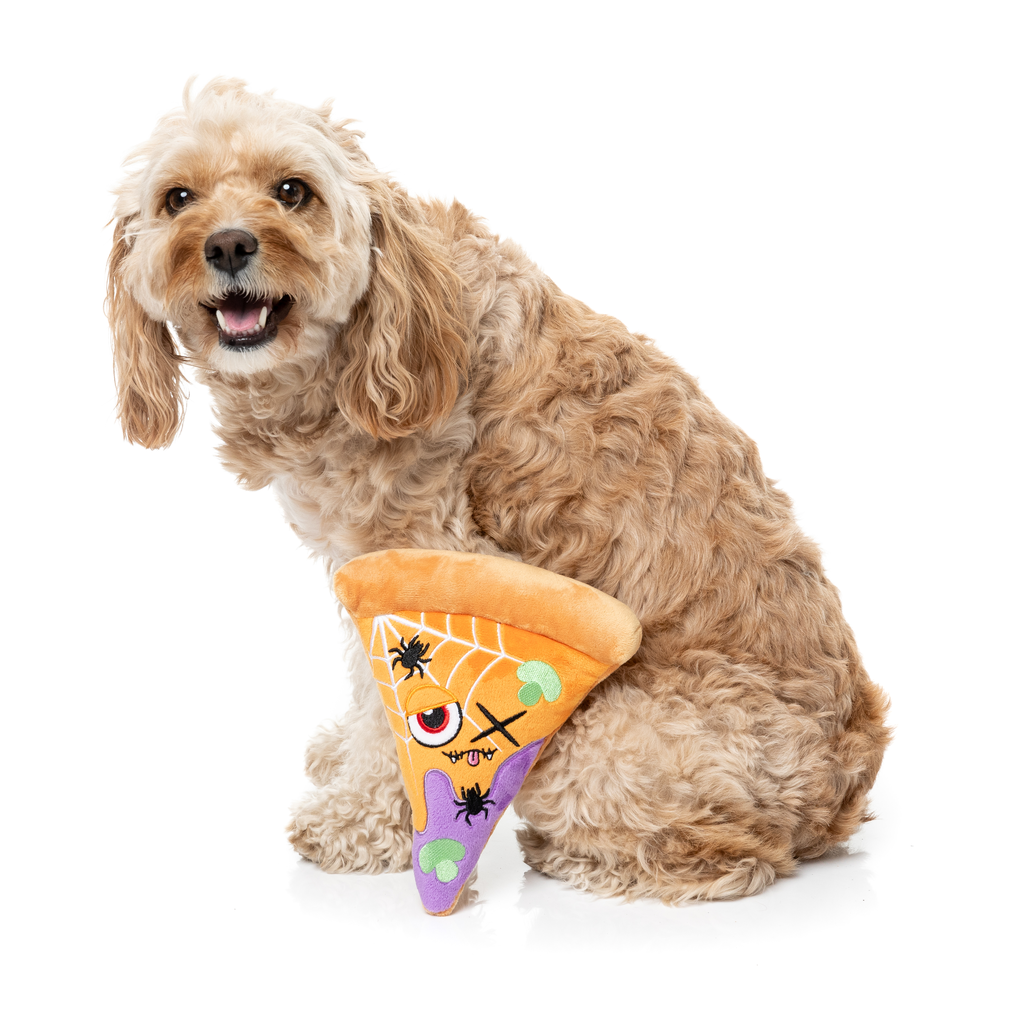 WEB-ERONI PIZZ - JUGUETE PARA PERROS